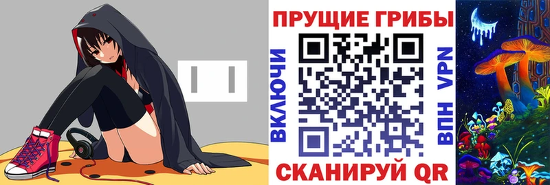 Купить  Черногорск  Псилоцибиновые грибы GOLDEN TEACHER 